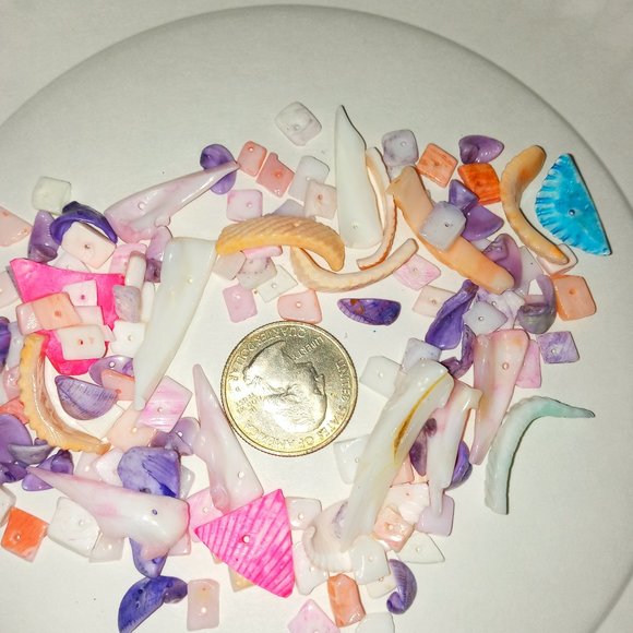 20 random puka shells See quarter for size reference NEW - Picture 1 of 4